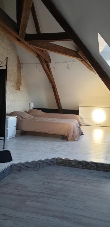 Bourgueil - Grand Appartement Proche Cnpe Chinon Exterior photo