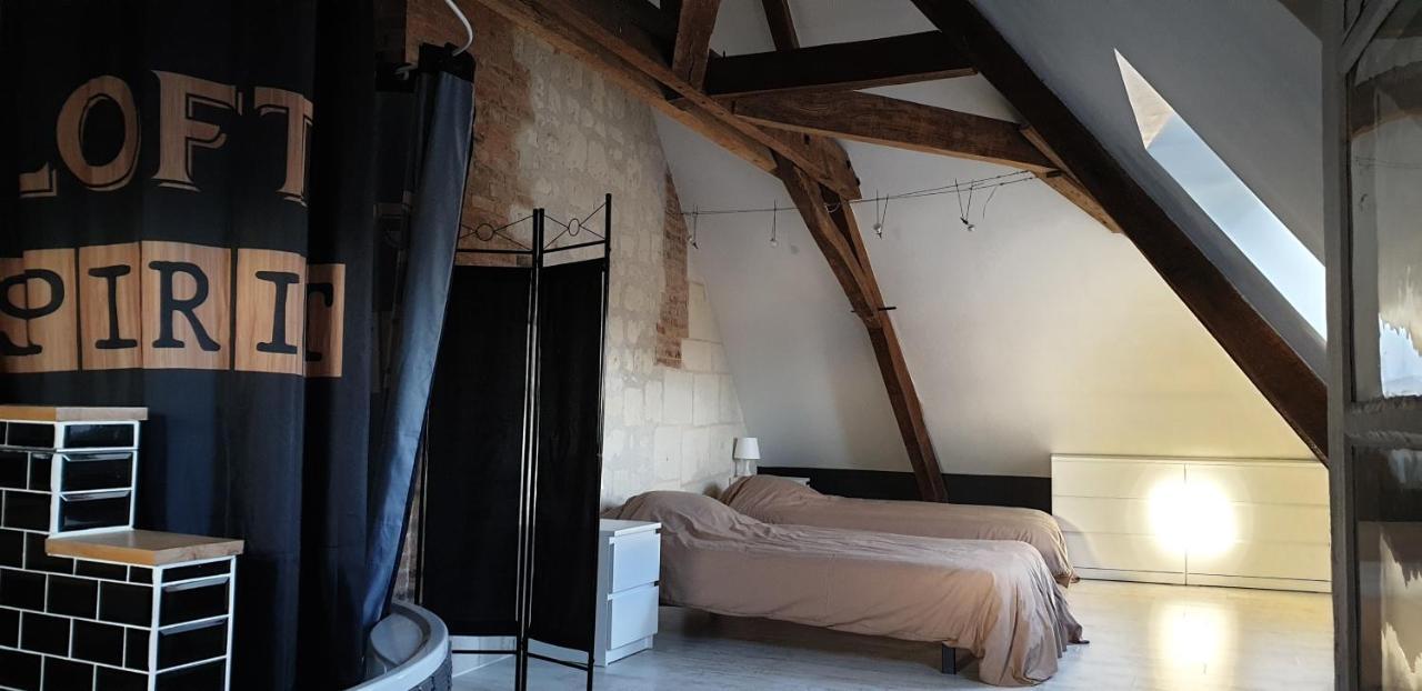 Bourgueil - Grand Appartement Proche Cnpe Chinon Exterior photo